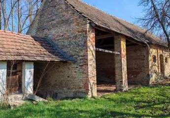 485565-Vorschaubild4