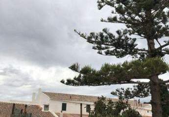 485893-Vorschaubild4