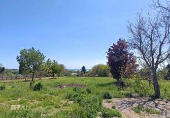 486028-Vorschaubild2