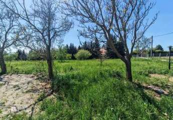 486028-Vorschaubild3