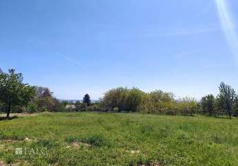 486028-Vorschaubild4