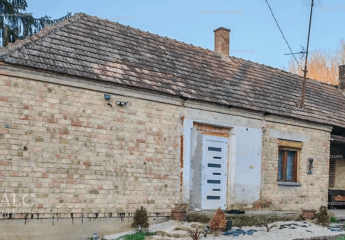 479203-Vorschaubild4