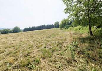 482136-Vorschaubild4