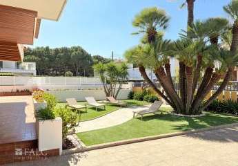 486196-Vorschaubild2