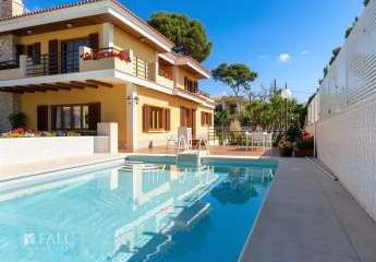 486196-Vorschaubild4