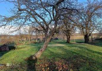 486413-Vorschaubild2