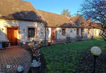 486413-Vorschaubild3