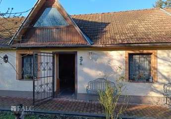 486413-Vorschaubild4