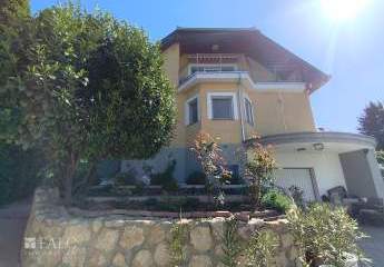 486421-Vorschaubild2