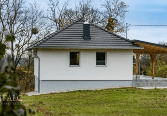 489294-Vorschaubild4