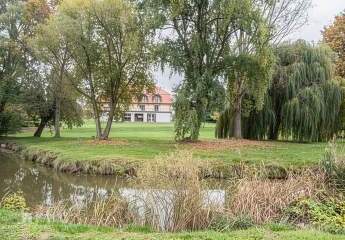 489296-Vorschaubild2