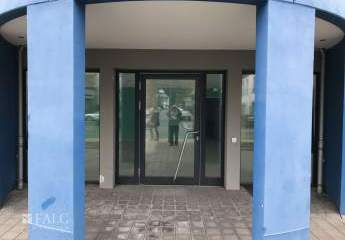492864-Vorschaubild2