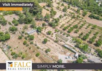 Ruhiges Agrargrundstück in Calvià – 3.500 m² Natur, Privatsphäre und ländlicher Charme