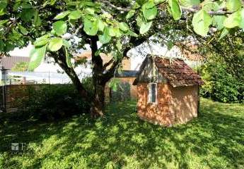 469577-Vorschaubild3