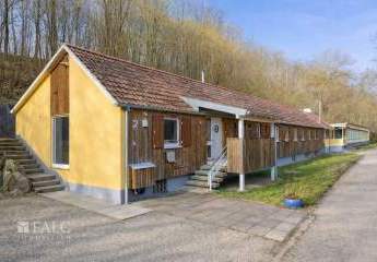 482076-Vorschaubild4