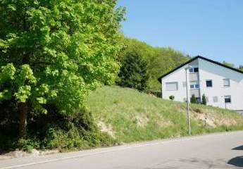 486474-Vorschaubild3