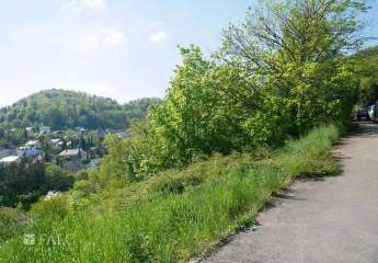 486486-Vorschaubild2