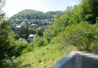 486486-Vorschaubild3