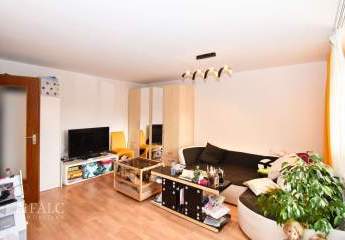 462466-Vorschaubild4