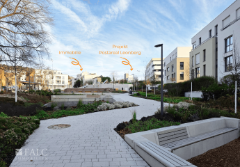 462466-Vorschaubild3