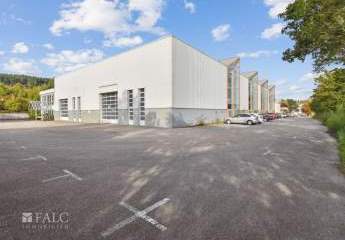 450631-Vorschaubild3