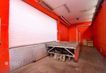 475369-Vorschaubild2