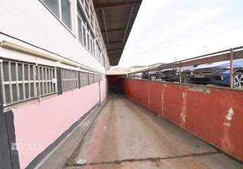 475369-Vorschaubild3