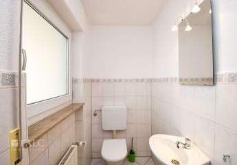 483313-Vorschaubild3