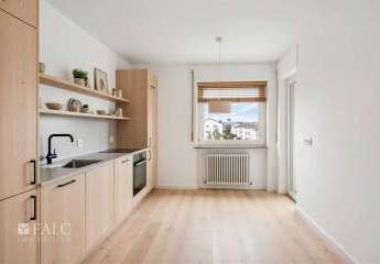 483313-Vorschaubild4