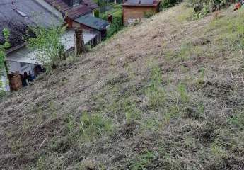 419321-Vorschaubild3