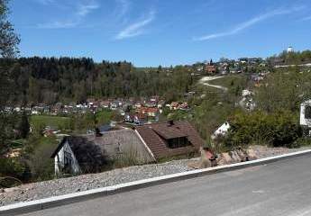 419321-Vorschaubild4