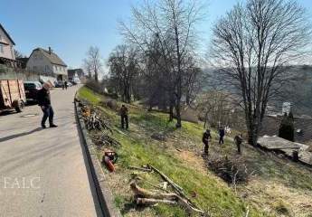 425548-Vorschaubild2