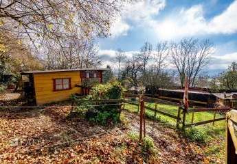 458700-Vorschaubild4