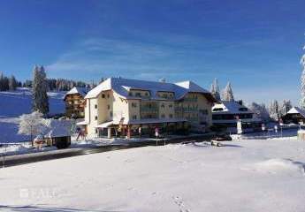 441822-Vorschaubild2