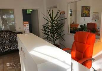 463866-Vorschaubild3