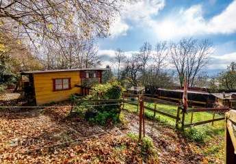 458700-Vorschaubild4