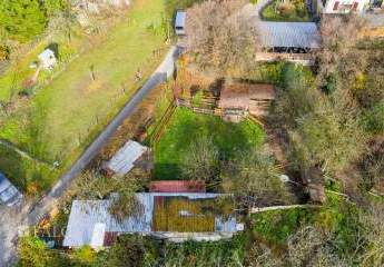 458700-Vorschaubild2