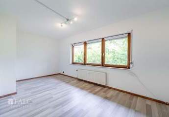 433253-Vorschaubild4