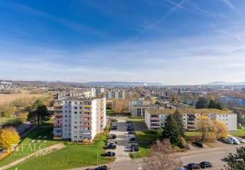 457689-Vorschaubild3