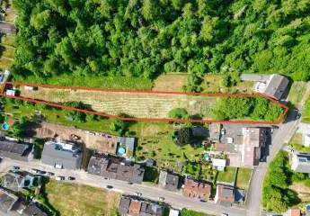 424882-Vorschaubild3