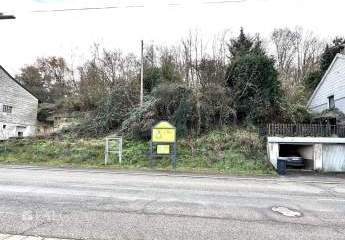 459976-Vorschaubild2