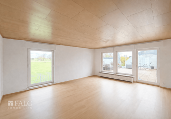 481981-Vorschaubild3