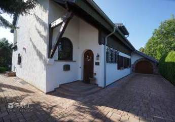 392797-Vorschaubild3