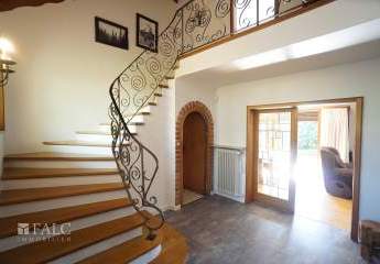 392797-Vorschaubild4