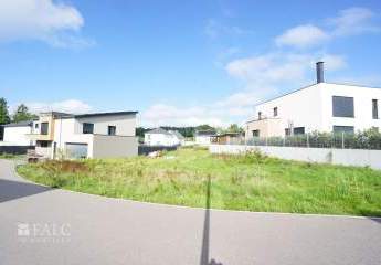 448904-Vorschaubild3