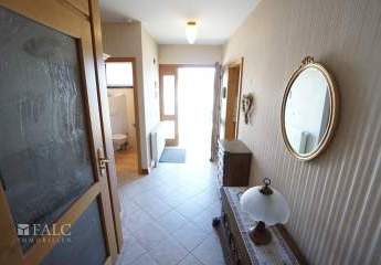 476205-Vorschaubild2