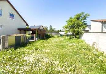 419980-Vorschaubild3