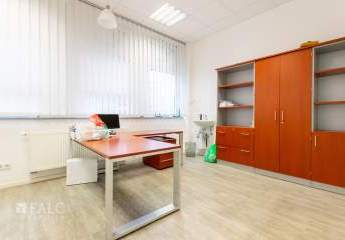 462913-Vorschaubild4