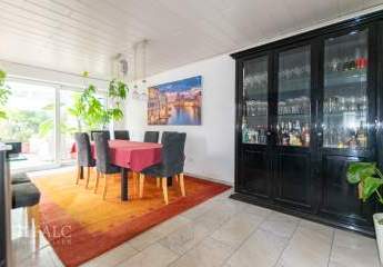 481784-Vorschaubild2