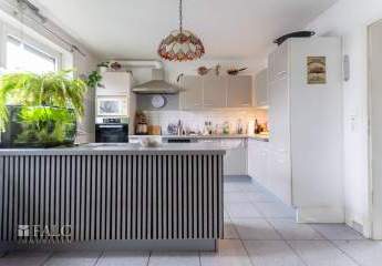 481784-Vorschaubild4